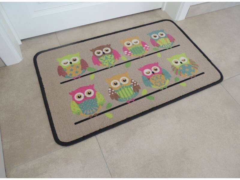 Kleurrijke uilen 50x80cm