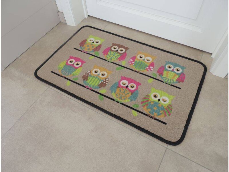 Kleurrijke uilen 50x80cm