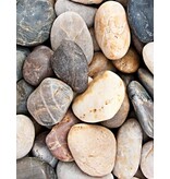 Stoer design tapijt met leuke print