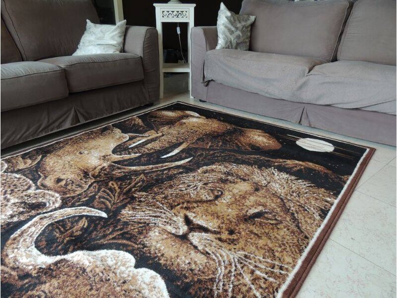 Afbeelding BIG 5 Zuid-Afrika 160x220