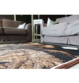Afbeelding BIG 5 Zuid-Afrika 160x220