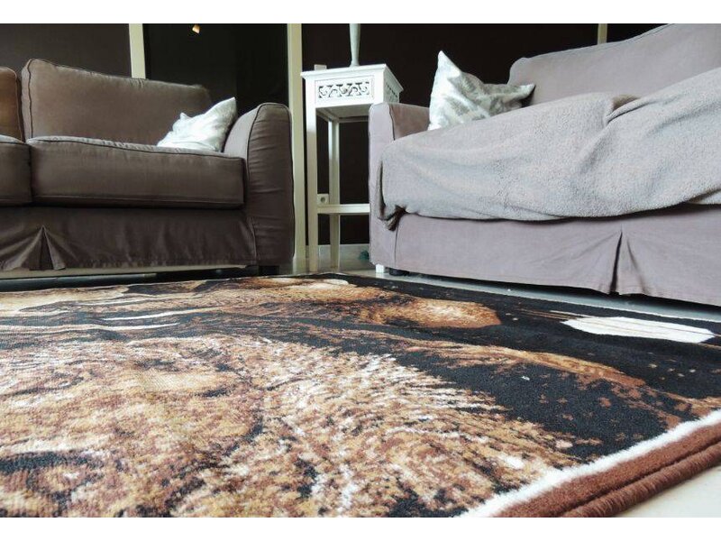 Afbeelding BIG 5 Zuid-Afrika 160x220