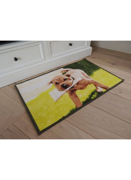 Vloerkleed met Hond