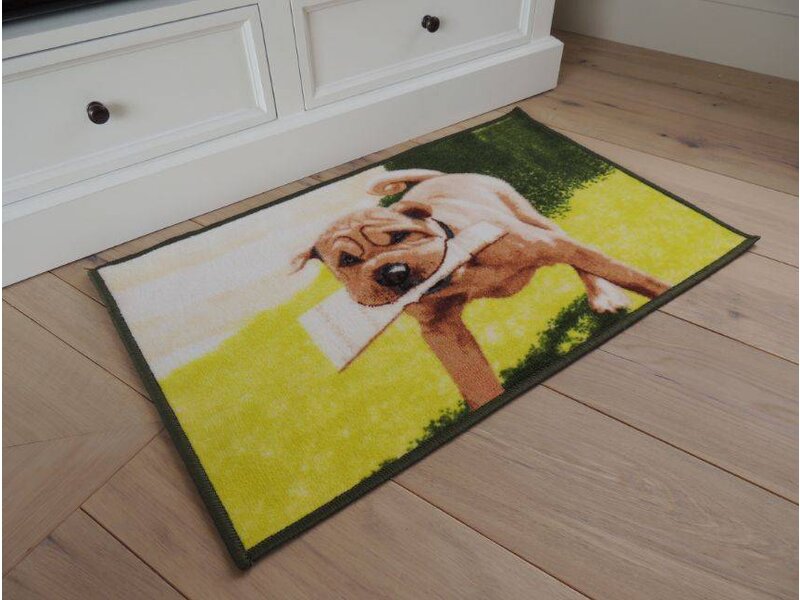 Vloerkleed afbeelding hond 50x80cm