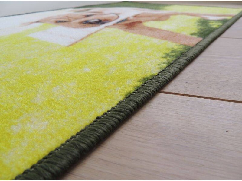 Vloerkleed afbeelding hond 50x80cm
