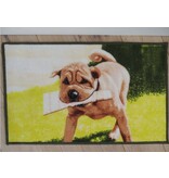 Vloerkleed afbeelding hond 50x80cm