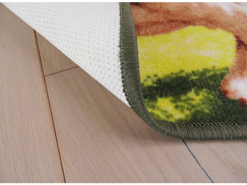 Vloerkleed afbeelding hond 50x80cm
