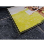 Vloerkleed afbeelding hond 50x80cm