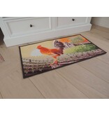 Tapijt met afbeelding haan Afmeting 50x80cm