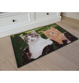 Twee mooie katten op tapijt Afmeting 50x80cm