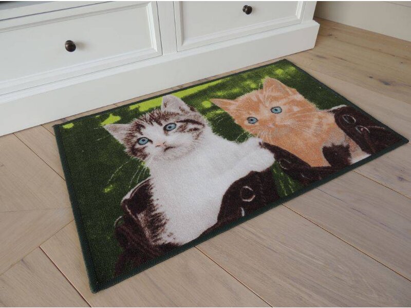 Twee mooie katten op tapijt Afmeting 50x80cm