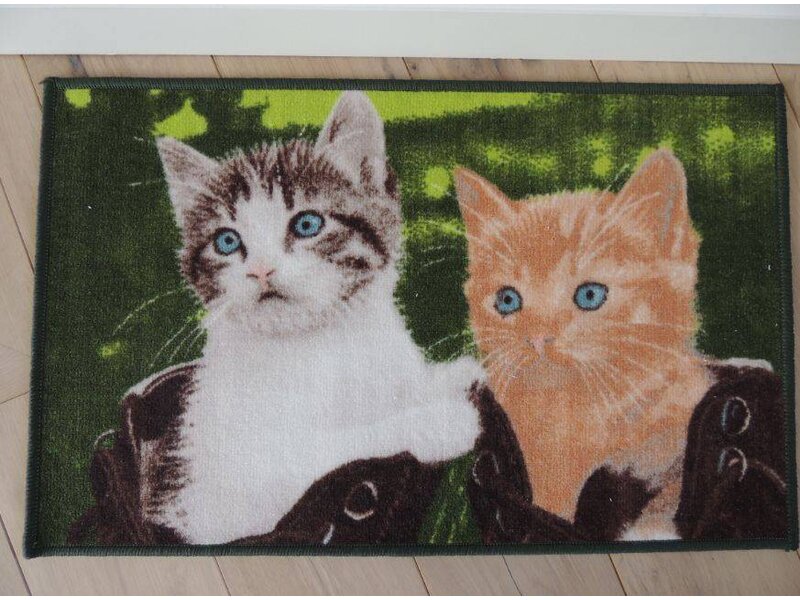 Twee mooie katten op tapijt Afmeting 50x80cm
