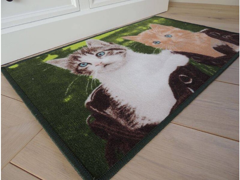 Twee mooie katten op tapijt Afmeting 50x80cm