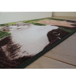 Twee mooie katten op tapijt Afmeting 50x80cm