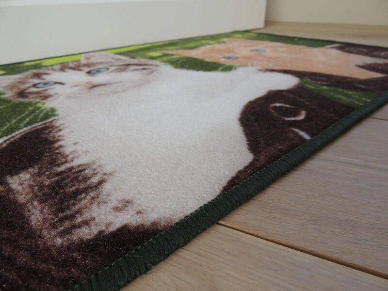 Twee mooie katten op tapijt Afmeting 50x80cm