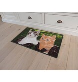 Twee mooie katten op tapijt Afmeting 50x80cm