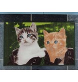 Twee mooie katten op tapijt Afmeting 50x80cm