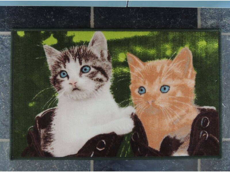 Twee mooie katten op tapijt Afmeting 50x80cm