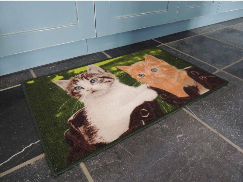 Twee mooie katten op tapijt Afmeting 50x80cm