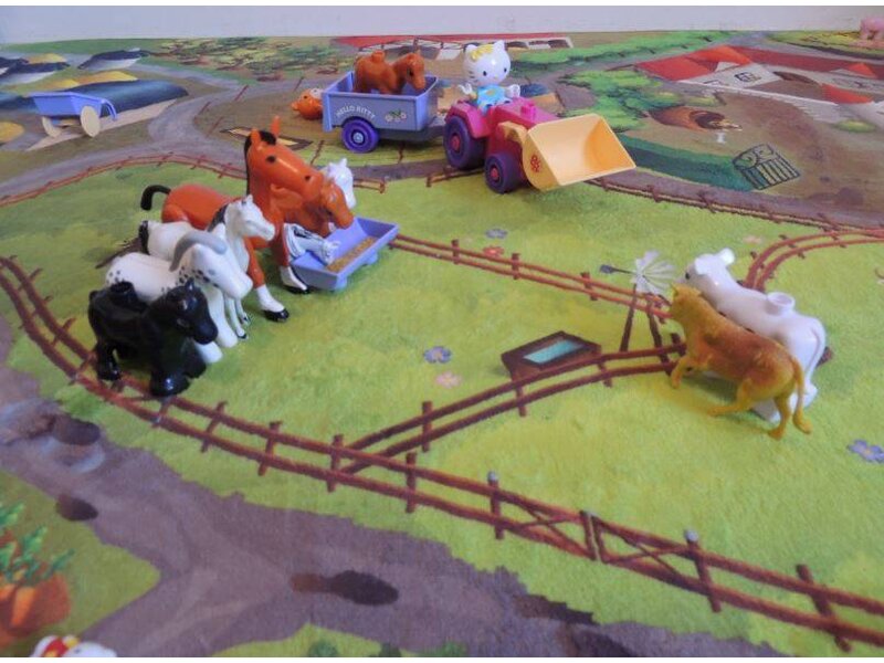 Groot speelkleed boerderij 130x180cm - SUPERZACHT
