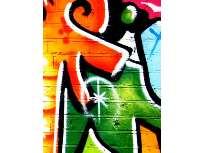 Stoer full color geprint tapijt graffiti