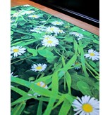 Hip full colour geprint tapijt
