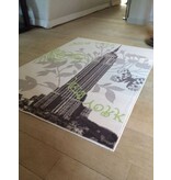 Op zoek naar goedkoop modern tapijt