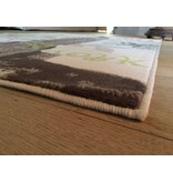 Op zoek naar goedkoop modern tapijt