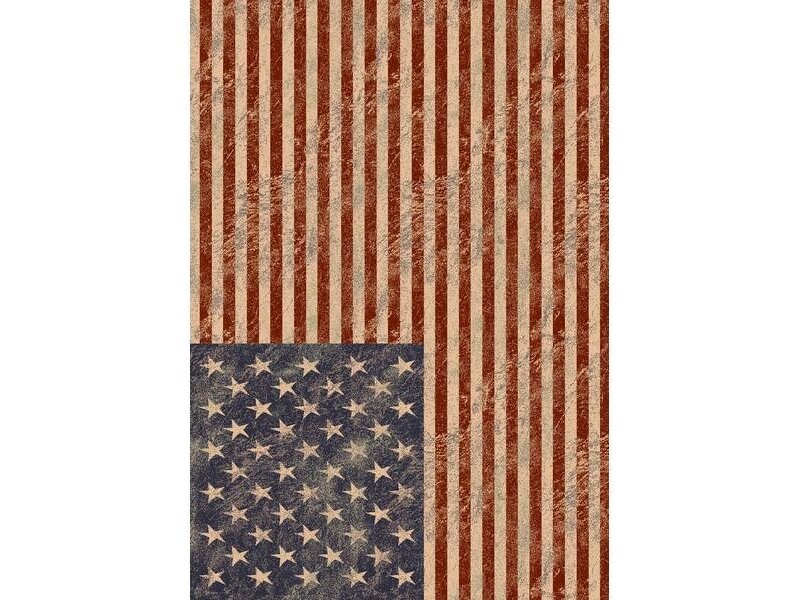 Groot tapijt met vlag USA 160x230