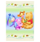 Groot tapijt Winnie The Pooh 120x160cm