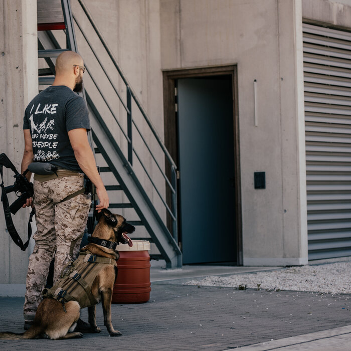 Dogs & Guns shirt