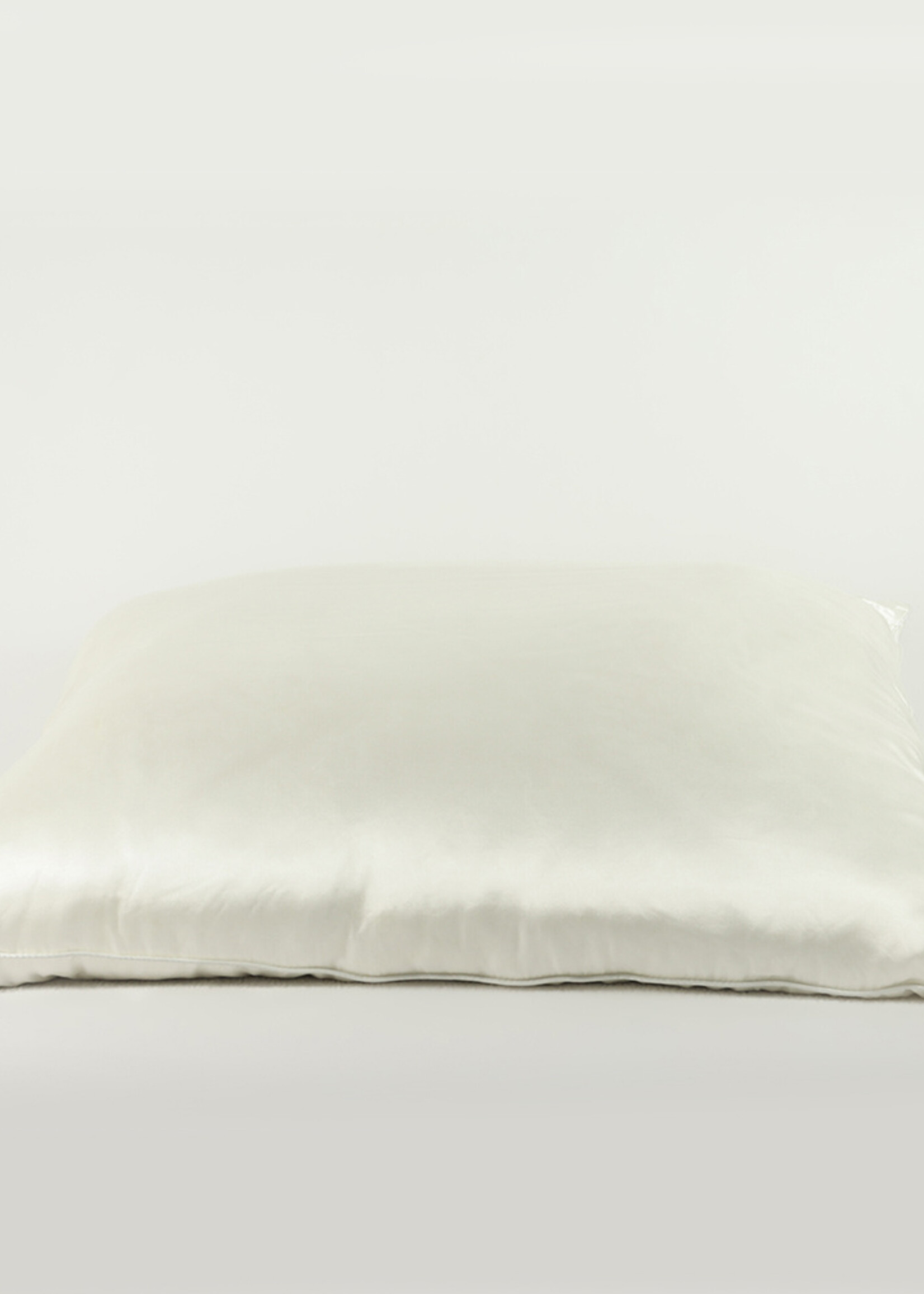 Silk Heaven Zijden hoofdkussen Serene - 100% moerbeizijde - zijden tijk