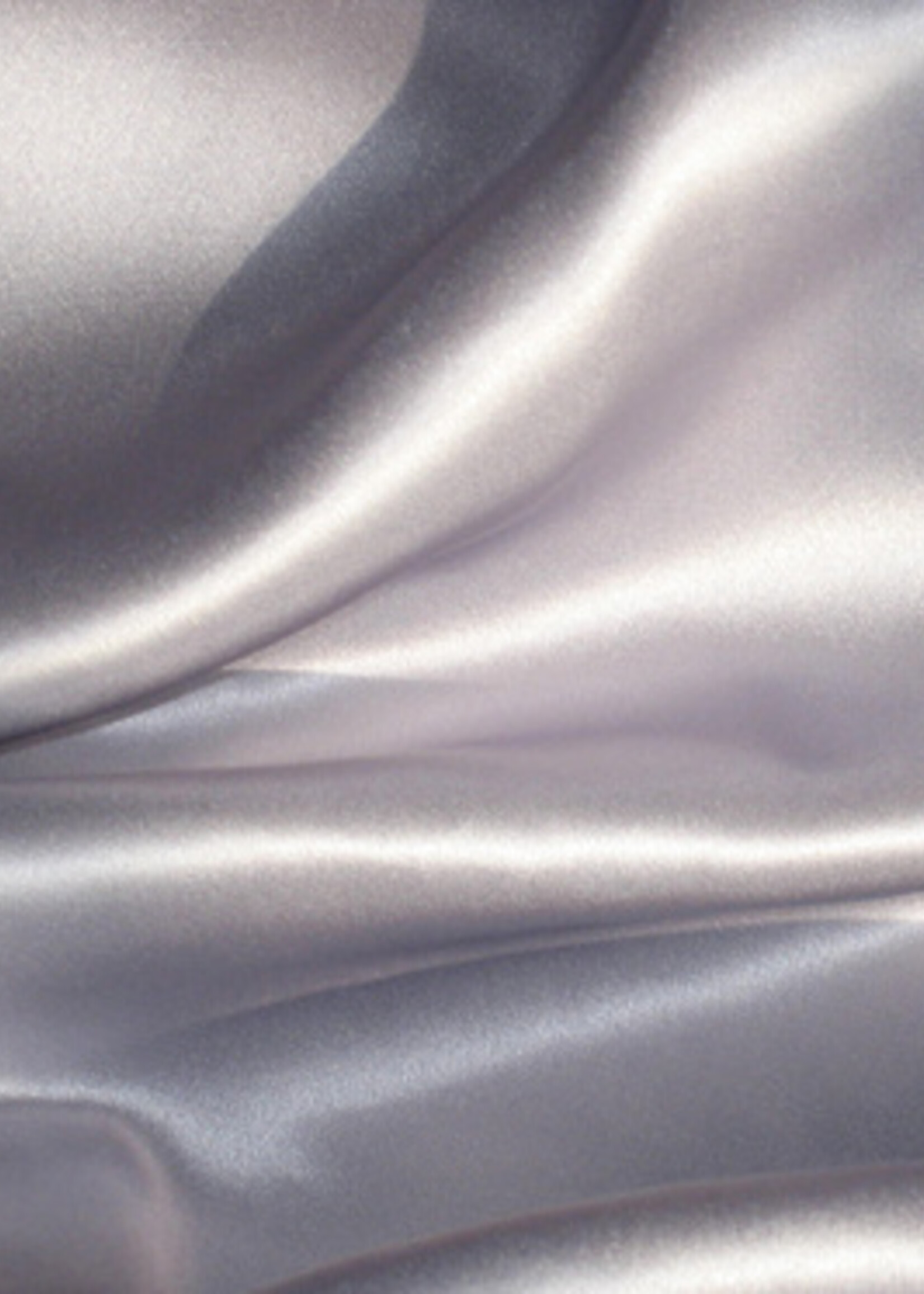 Silk Heaven Zijden Kussensloop ergonomisch Licht Grijs - 19MM