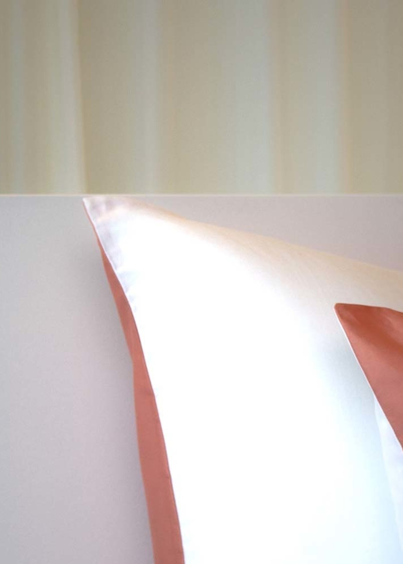 Lysdrap Egyptisch Katoen Satijnen 300TC Kussensloop - 2 kleurig - Gemini