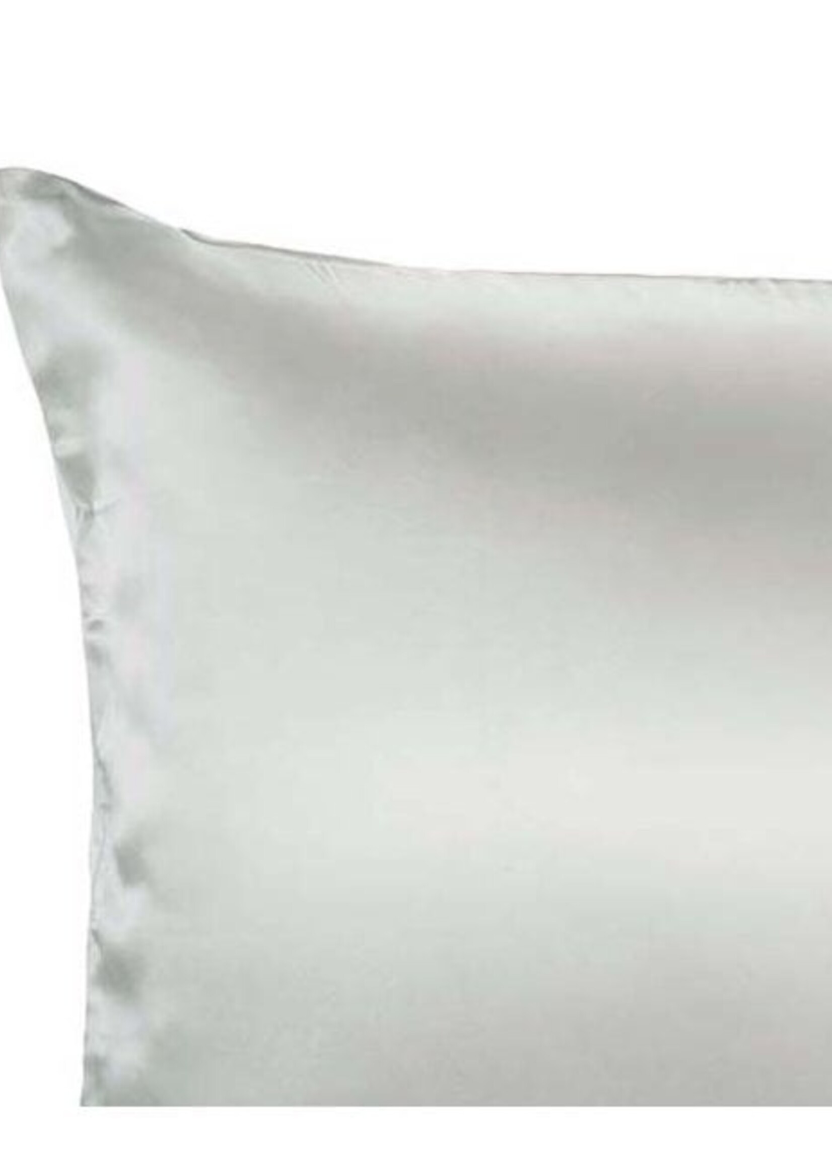 Silk Heaven 4x Zijden Kussensloop Maanlicht - 22MM