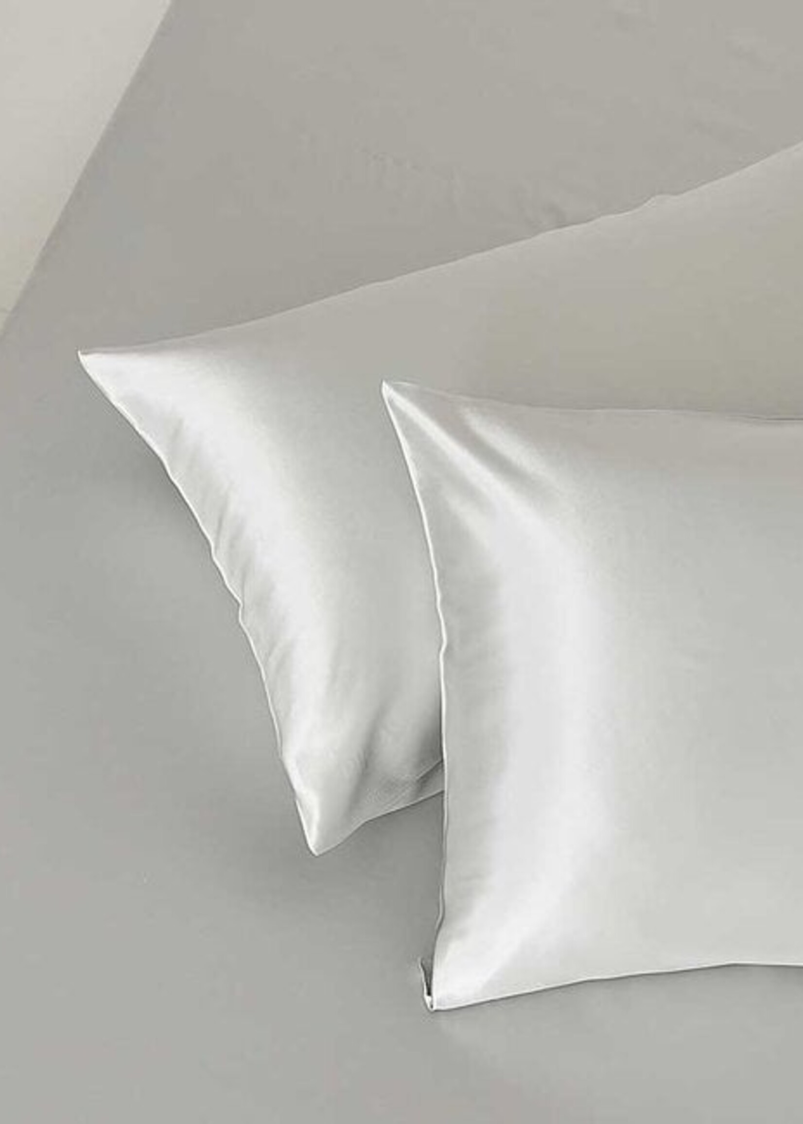 Silk Heaven 4x Zijden Kussensloop Maanlicht - 22MM