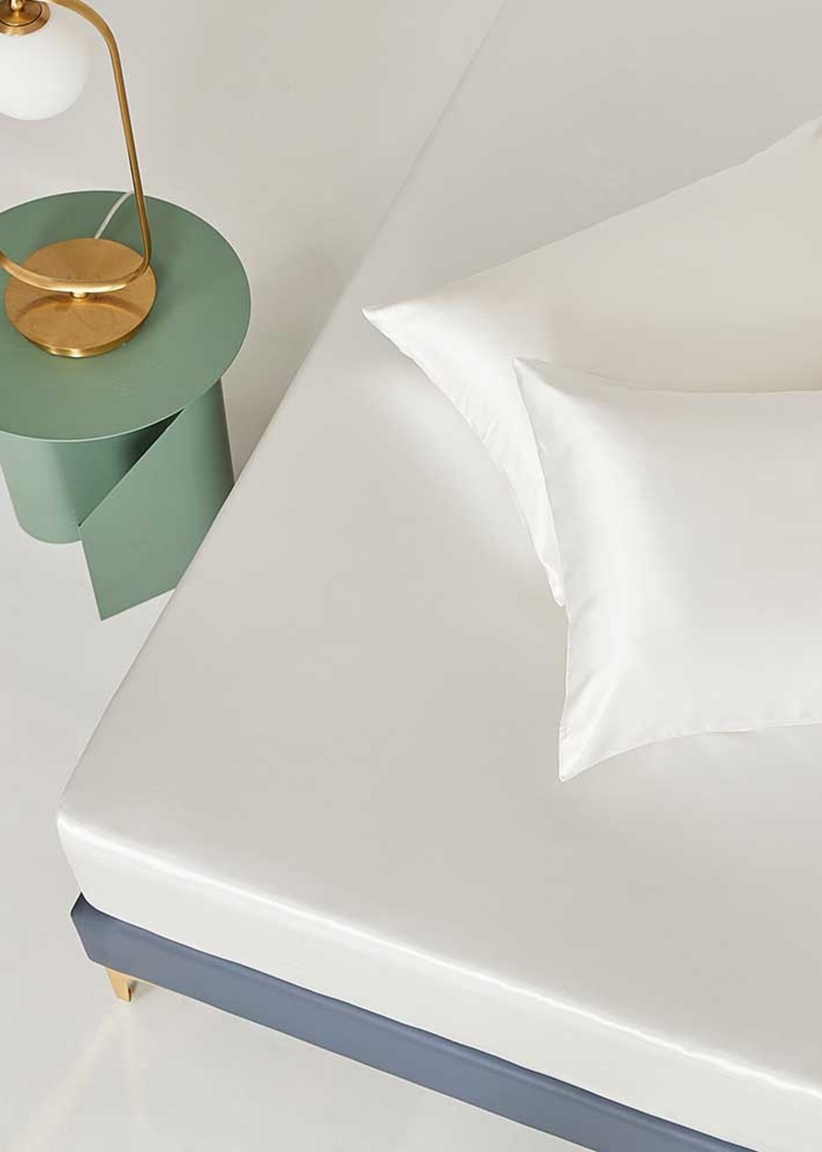 Silk Heaven Zijden Kussensloop Ivoor met Zilver Ionen - 22MM