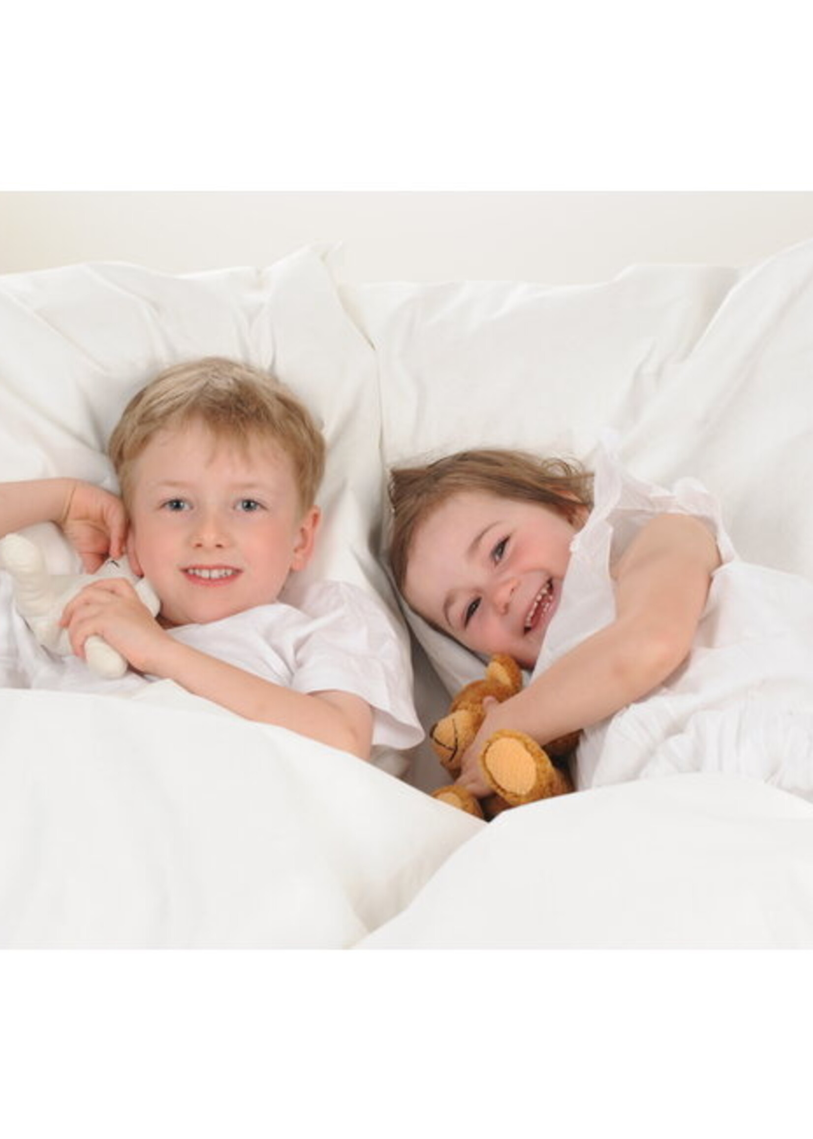 Silk Heaven Anti-Allergisch Kussensloop met Rits
