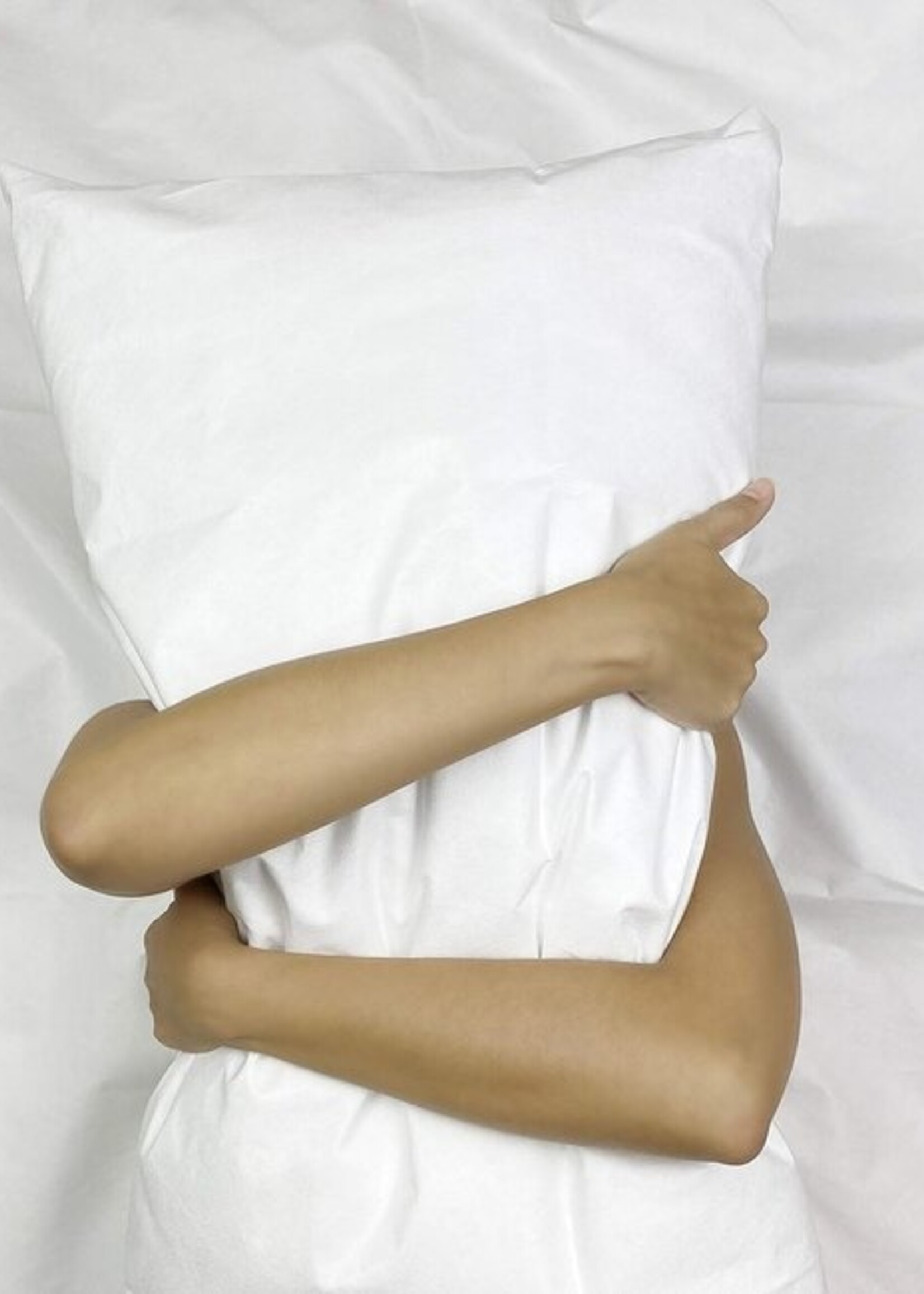 Silk Heaven Anti-Allergisch Kussensloop met Rits