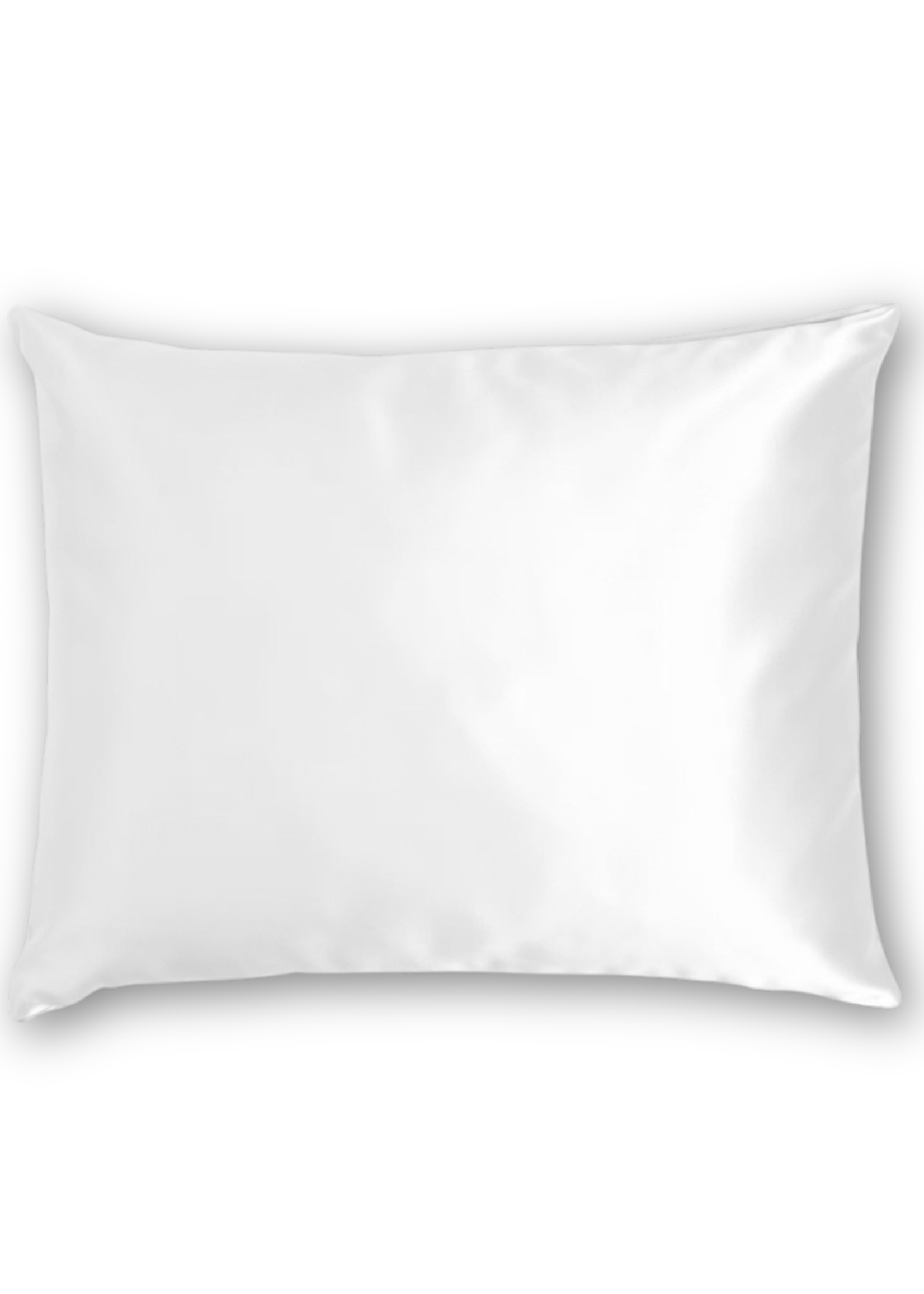 Silk Heaven Zijden Kussensloop Wit - 19MM