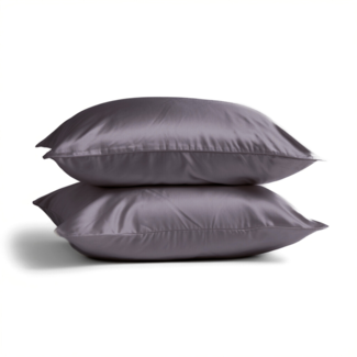 Silk Heaven 2x Zijden Kussensloop Antraciet - 19MM