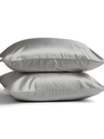 Silk Heaven 2x Zijden Kussensloop Licht Grijs - 19MM