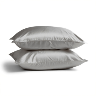 Silk Heaven 2x Zijden Kussensloop Licht Grijs - 19MM