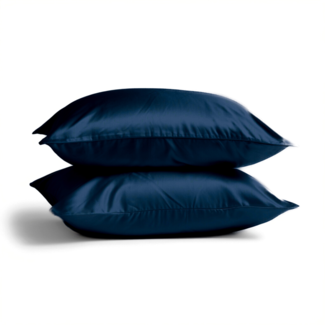 Silk Heaven 2x Zijden Kussensloop Blauw - 19MM