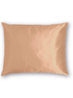 Silk Heaven Zijden Kussensloop Goud - 22MM