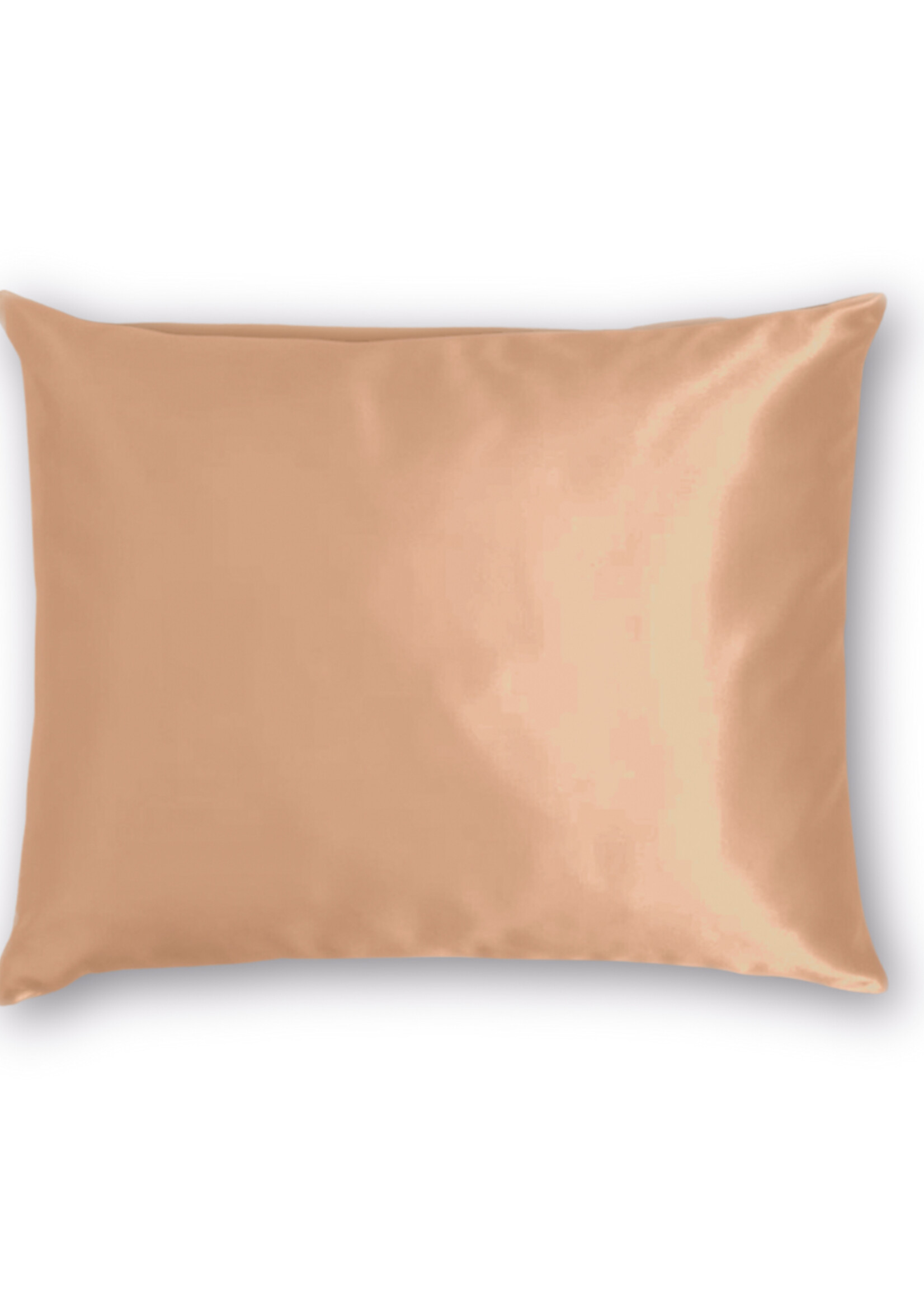Silk Heaven Zijden Kussensloop Goud - 22MM