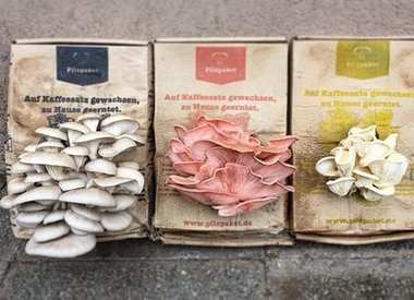 Produkte