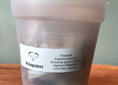 Pilzzucht Erlebnisset