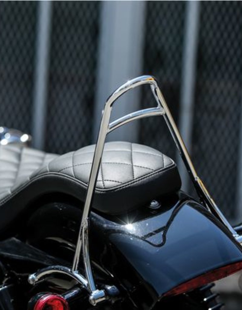 BURLY SISSY BAR HD DAVIDSON SPORTSTER Vanaf 2004 PRD CUSTOMS De