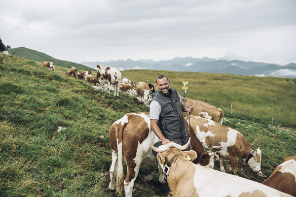 SODAQ | LoRaWAN | Cow Tracker | 868MHz - ThingPark Market